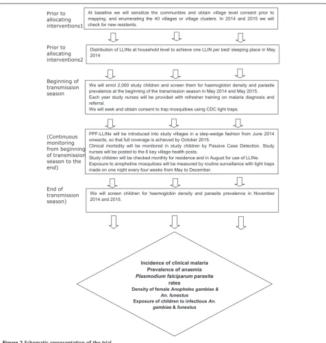Figure 2 Schematic representation of the trial.