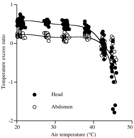 Fig. 2. Body temperatures versusNNP air temperature (Ta) (pooled acrossthe three colonies) for honeybee workers ﬂying in a 550mlrespirometry chamber