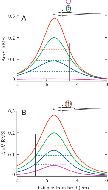 Fig. 3. Electric images of conducting spheres in the midplane ofApteronotus leptorhynchus, calculated with the semi-analyticalmodel (see text)