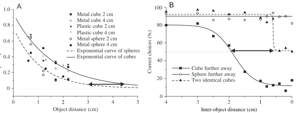 Fig. 4. (A) Slope/amplitude ratios calculated from the electric images of two different-sized metal spheres (circles) and four different kinds ofcube (squares and triangles) plotted against object distance