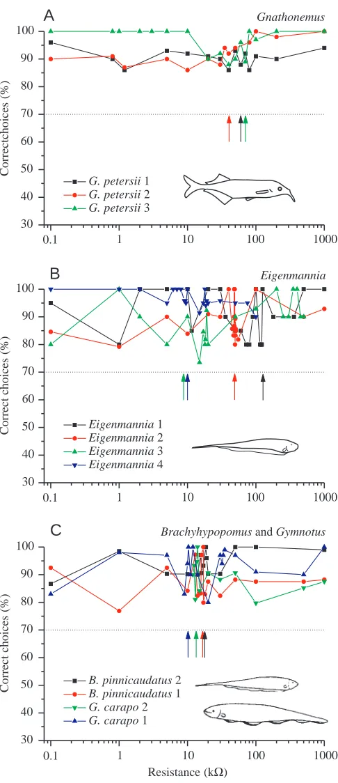 Fig. 6. Discrimination between a capacitative and several resistiveobjects in three Gnathonemus petersii (A), four Eigenmannia sp