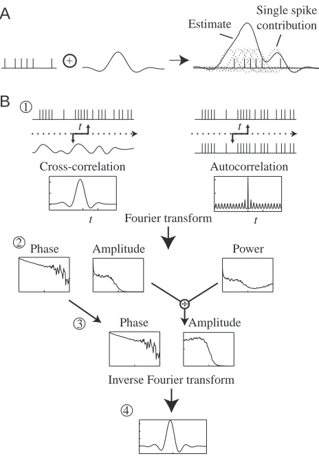 Fig. 4. Quantiﬁcation of the accuracy withwhich spike trains carry information about