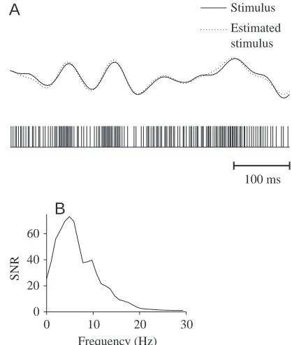 Fig. 6. Example of stimulus estimation from P-receptor spike train.(A) Spike train (bottom panel; mean ﬁring rate 314 Hz), stimulus(solid line, top panel; cut-off frequency 10Hz, contrast 0.24, meanamplitude 1mVcm−1) and estimated stimulus (dotted line, to
