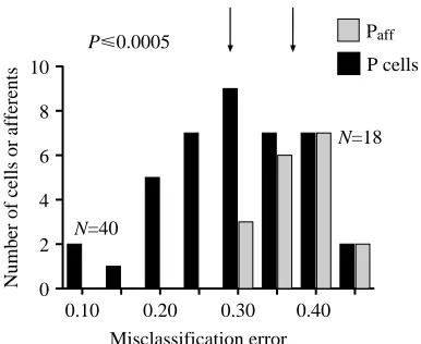 Fig. 12. Minimal classiﬁcation error (computed as in Fig. 11) forpyramidal cell spikes belonging to bursts (P cells) and P-receptormean lower performance in the feature extraction task