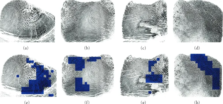 Figure 13: SWT-GLCM-DCT hybrid smear detection results.