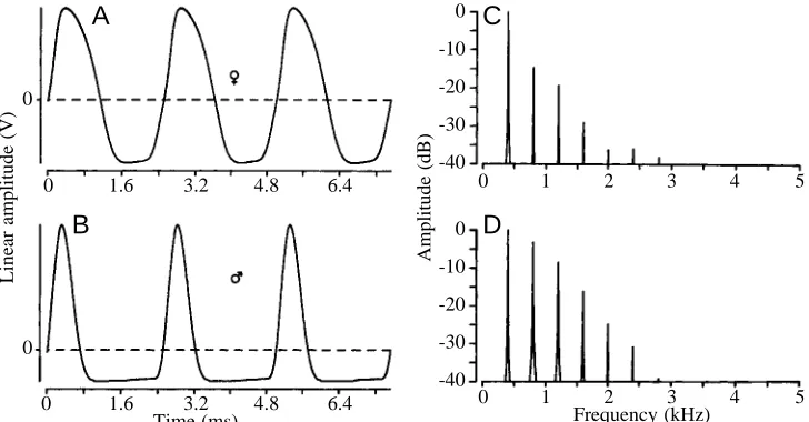Fig. 1. Waveforms (A,B) of electricorgan discharges in Eigenmannia, withtheir associated Fourier amplitudespectra (C,D)