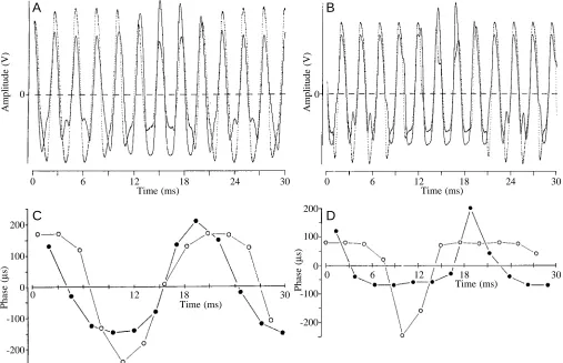 Fig. 3. The electric organ discharge (EOD) of a female Eigenmanniaor negative-going (of the external EODs at greatly reduced speed; the only difference being a 180° phase shift relative to the beat cycle