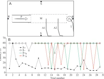 Fig. 4. (A) The test aquarium viewed fromabove (75cm long, 40 cm wide, 45cm