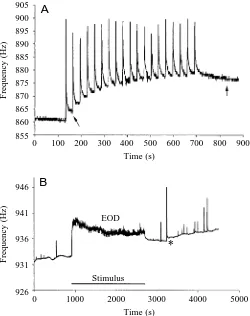 Fig. 2. Long-term frequency elevation and plasticity of the jammingavoidance response in the brown ghost ﬁsh (Apteronotusleptorhynchus)
