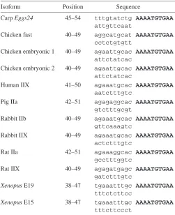 Table 1. Conserved sequence motif in the 3regions of myosin heavy chain isoforms from a diverse range′ untranslatedof species