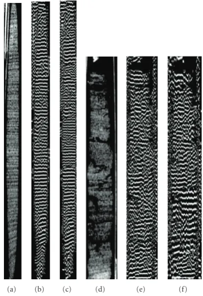 Table 1: Variable frequency spacing ﬁlterbank speciﬁcations. Thevertical ﬁlter parameters for the four ﬁlters in the ﬁlterbank forthe 20 populus images are given in the table