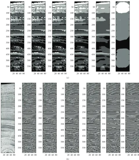 Figure 7: Median ﬁltering continuity correction: (a) left to right: ﬁlter outputs without median ﬁlter, using median ﬁlters of sizes 35ﬁlters of sizes 3 × 3, × 5, 9 × 9, 19 × 19, and 69 × 69