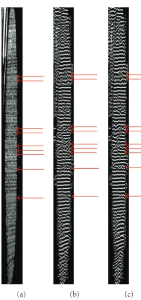 Figure 2). The estimated dominant component