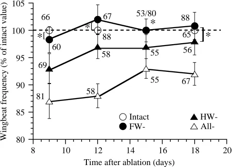 Fig. 7. Changes in wingbeat frequency (mean ± Sobservations from ﬁve animals per group, with the value of .D., calculated fromtelemetric electromyograms of M129) in intact animals and inanimals with partially ablated (HW- or FW-) tegulae or completelyremov