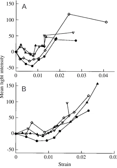 Fig. 6. Compression surfaces of specimens after failure. These ﬁelds of view are taken from near the macrocrack that broke the specimen