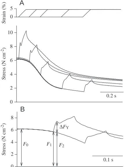 Fig. 14. Pre-yield slope (A) and post-yield slope (B) during stretch asfunctions of strain rate and stimulation frequency (means ±Sample size and the meaning of the numbers in parentheses are as inFig