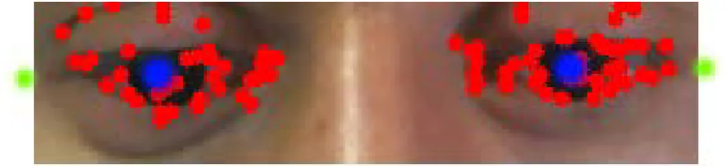 Figure 3.2: Selection of the left and right eye corner points using geometrical heuristics after Harris corner detection