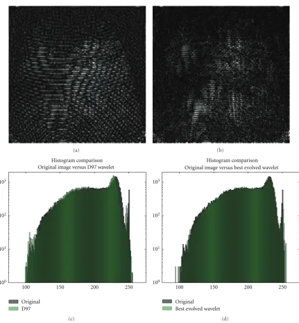 Figure 17: Transform performance. The top row shows the error introduced by each transform: (a) is the error image for the D97 waveletand (b) for the best evolved individual