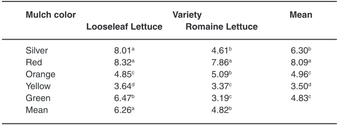 table 4: Leaf dry  weight of leaf lettuce varieties grown with different colored plastic mulch  