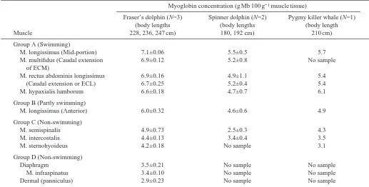 Table 2. Myoglobin concentration in various muscles of adult Fraser’s and spinner dolphins and a pygmy killer whale