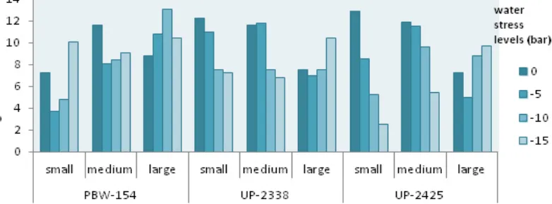 Fig. 3: The effect of seed size and water stress on seedling growth of three wheat varieties