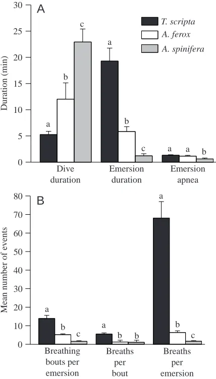 Fig. 2. Mean aerial VO∑ (A) and VCO∑ (B) in Trachemys scripta (N=8exercise; N=8 forced submergence) and Apalone ferox (N=6exercise; N=6 forced submergence) at rest (R) and after exercise and