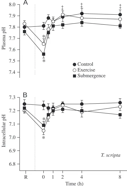 Fig. 5. Mean blood plasma pH (A) and intra-erythrocyte pH (B) inApalone ferox (N=5 control; N=7 exercise; N=6 forced submergence)at rest (R) and after exercise and forced submergence