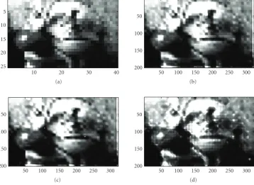 Figure 4: Demonstration of hyper-resolution for a single down-sampled gray-level image