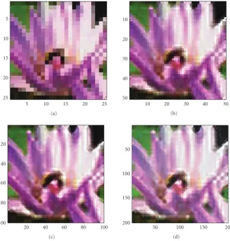 Figure 7: Demonstration of hyper-resolution for a single down-sampled color image. (a) Down-sampled image, (b) hyper-resolved imagewith a factor 2 × 2, (c) hyper-resolved image with a factor 22 × 22, and (d) hyper-resolved image with a factor 23 × 23.