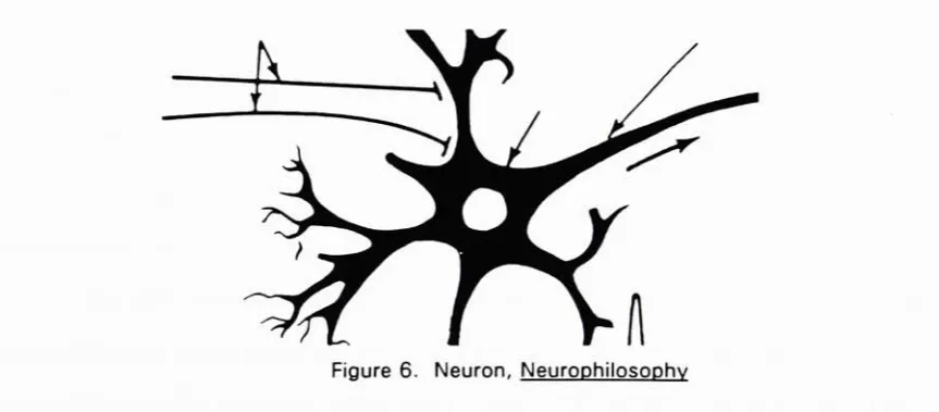Figure 6.Neuron, Neurophilosophy