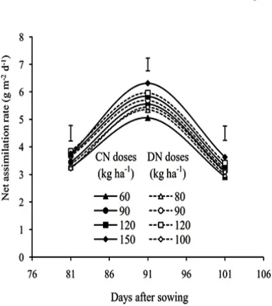 Fig. 4: Net assimilation rate (NAR) at different days after sowing of wheat grown under conventional nitrogen (CN) and dynamic nitrogen (DN) management