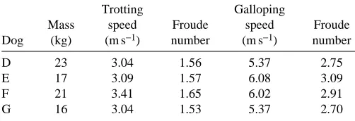 Table 1. Mass, running speeds and Froude numbers of thedogs used in the sonomicrometry recordings
