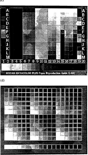FIG. 4.1-1. Sample images of the target materials: (a) Kodak IT8.7/1, (b) Fuji IT8.7/2, (c)Kodak Q-60C and (d) independent test target.