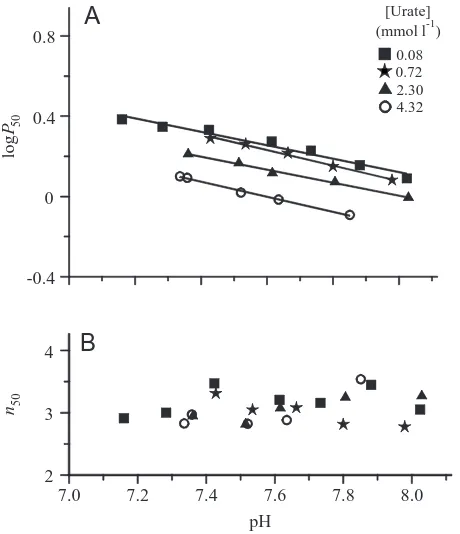 Fig. 4. (A) The haemocyanin affinity for O2((kPa) and pH are: at 0.08mmollequations describing the relationship between logconcentrations of urate and compared with whole haemolymph (ﬁlledsquares, [urate] 0.08mmoll in whole haemolymphenriched with both L-l