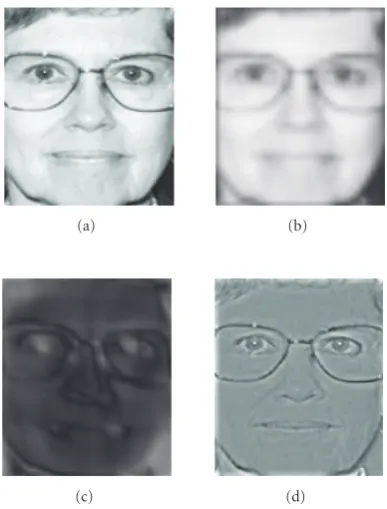 Figure 3: (a)11frequency images, with a three pixels overlap. Corresponding high-and mid-frequency patches had the same center pixel