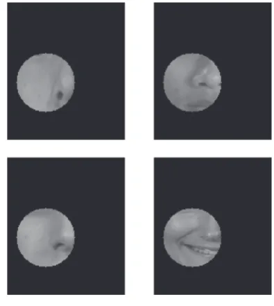 Table 1: Beneﬁt of transition functionmean-squared error (MSE) for the whole image. Results are givenusing bilinear interpolation, using only the observation functionand using a standard MRF [with respect to bilinear interpolation