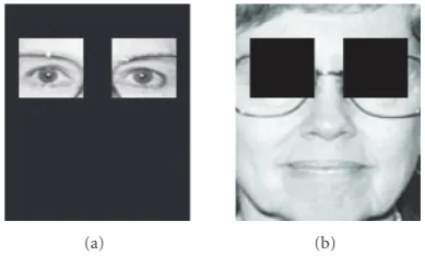 Figure 5: Adapting observation distributions: eye/non-eye regions.non-eye regions, as in (b), have their own observation distributions,using non-eye regions in the training databaseIn this example, eyes, as in (a), have their own observation distribu-tion,
