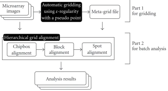 Figure 2: A ﬂow chart of our automatic image analysis system. Part 1 is responsible for performing automatic gridding by using the extendedδ-regular sequence and part 2 aligns the metagrid to the images using hierarchical metagrid alignment for batch processing.
