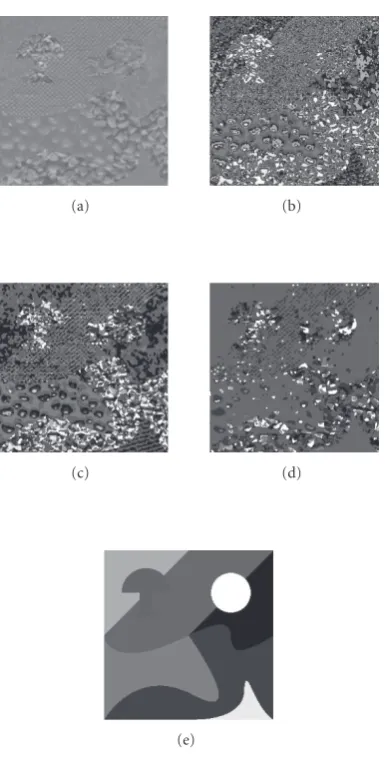 Figure 8: One image composed of textured regions with the same mean gray value and its four segmentation results: (a) original image, (b)FKM, (c) FKM + relaxation, (d) EDISON, (e) ground truth.