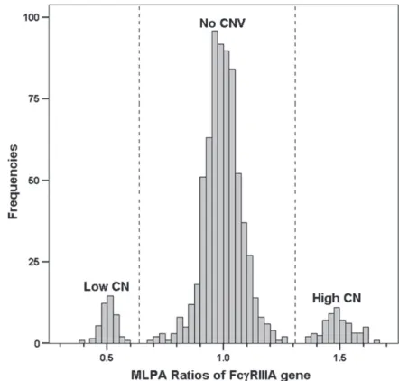 Figure 2:  Copy number  variation (CNV) of the Fc γ RIIIA  gene. Cluster 1 represent  samples with a low copy  number and cluster 3  represents samples with a high  copy number of Fc γ RIIIA 