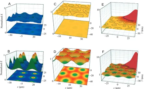 Fig. 3. Distribution of the electrical ﬁeld (Emodel; C and D relate to the TJ model; E and F consider a large conductive site in addition to the TJ model