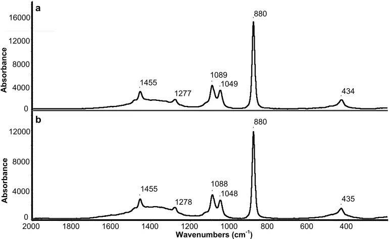 Fig. 1: a) Typical Raman spectrum of ethanol solution. b) Typical Raman spectrum of Greek spirit Tsipouro