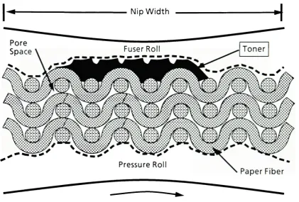 Figure 1.2- Nip GeometryNip Width