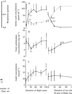 Fig. 4. Rate of oxygen consumption and respiratory quotient ofPachnoda sinuatagiven as means ± measured during lift-generating ﬂight