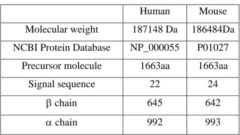 Table 1.3. Major properties of human and mouse C3 