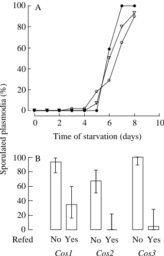 Fig. 7. Time-dependence of the commitment to sporulation ofincompetent Cos3 plasmodia by fusion with light-induced wild-typeplasmodia