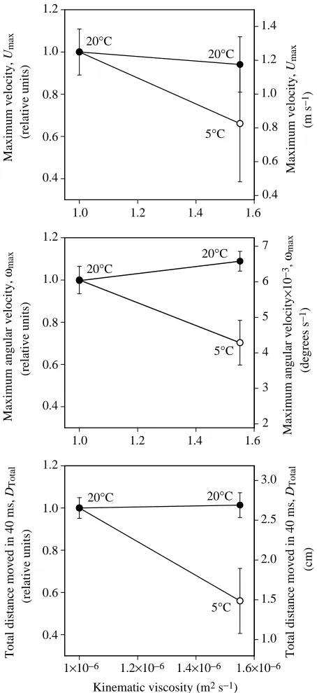 Fig. 2. The maximum velocity (U(viscosity and temperature. Filled symbols represent C-startsperformed in water at 20 °C, open symbols in water at 5 °C.Kinematic viscosity was increased at 20°C using 1.2% dextran