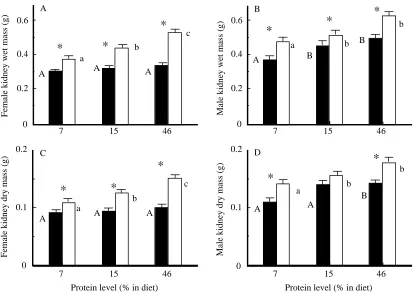 Table 2. Mean daily food and protein intake rates of male and female mice acclimated to either 5°C or 23°C and fed a diet withone of three different protein levels