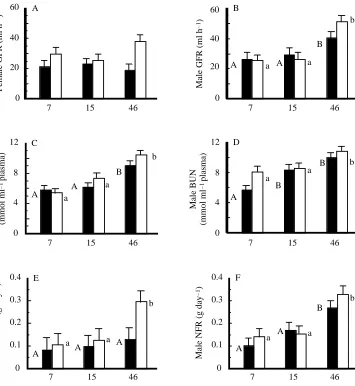 Fig. 2. Glomerular ﬁltration rate(GFR) male acclimated to either 23°C (ﬁlledcolumns) columns) as a function of dietaryprotein level