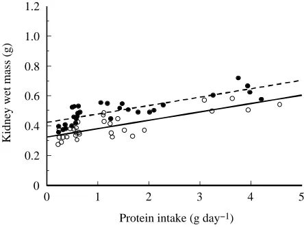 Fig. 2C), but did not differ between acclimation-temperaturegroups. Nitrogen ﬁltration rate (gday−1) was 104% higher inmice fed the highest protein diet than in the other two groups